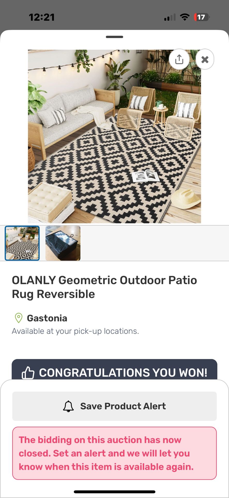 Outdoor Rug