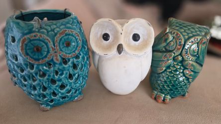 3 owls