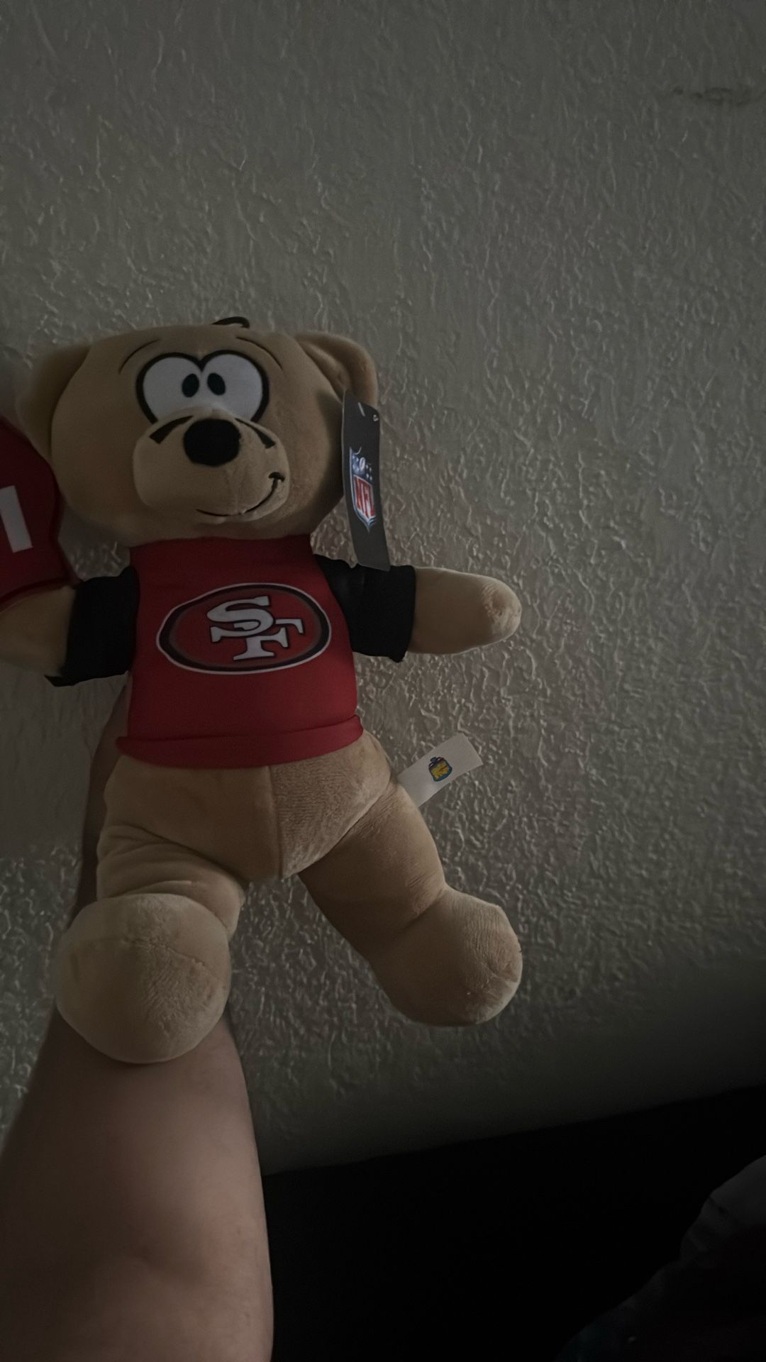 49ers Teddy Bear 
