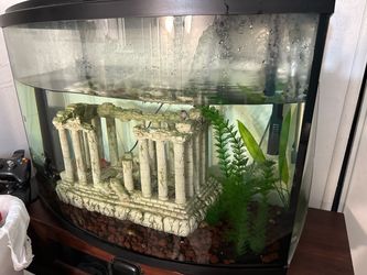 Tank