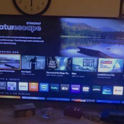 Vizio 55inch Tv