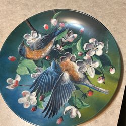 Kevin Daniel Plate