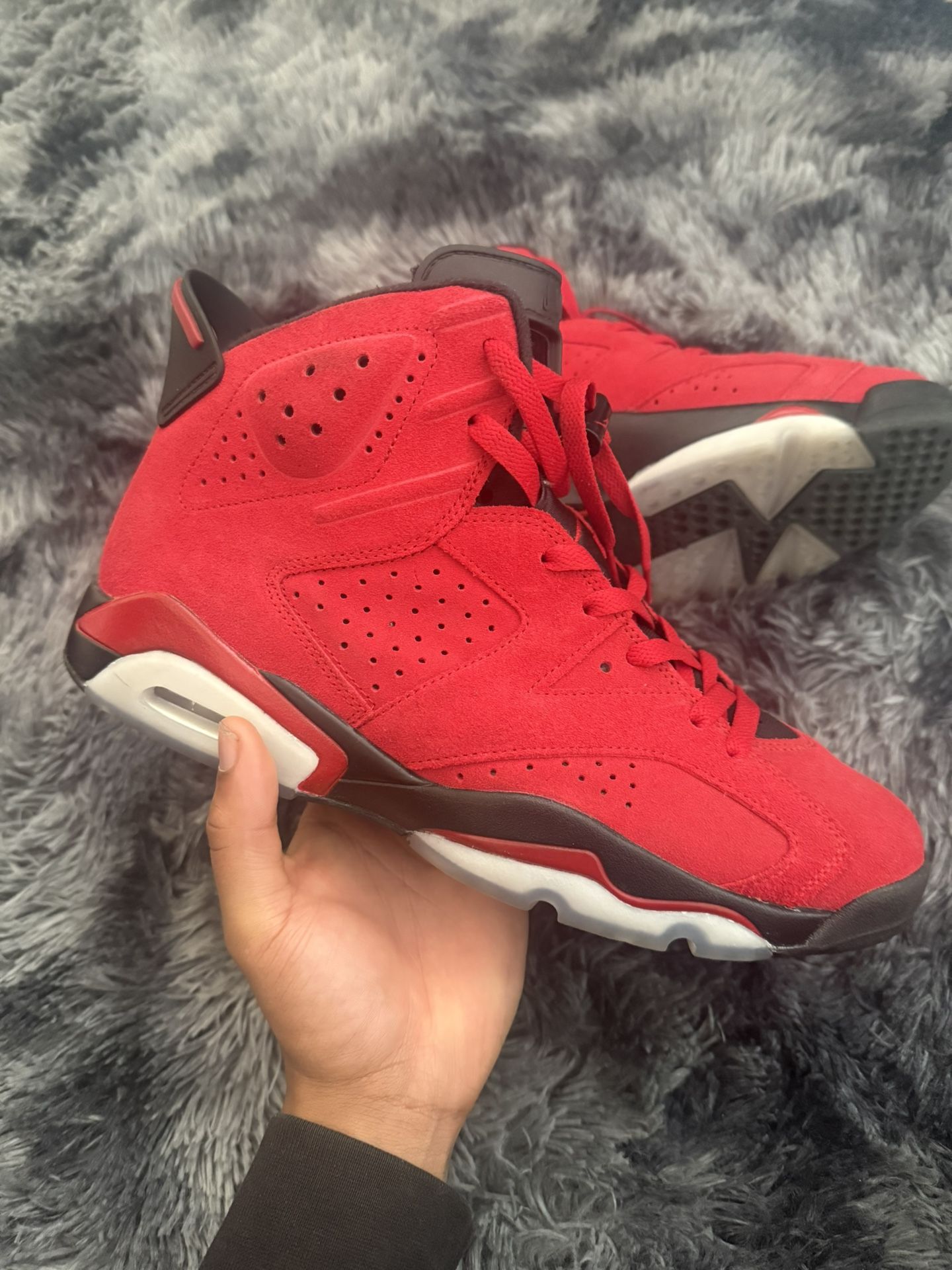Jordan 6 Toro Bravo (Size 11.5)