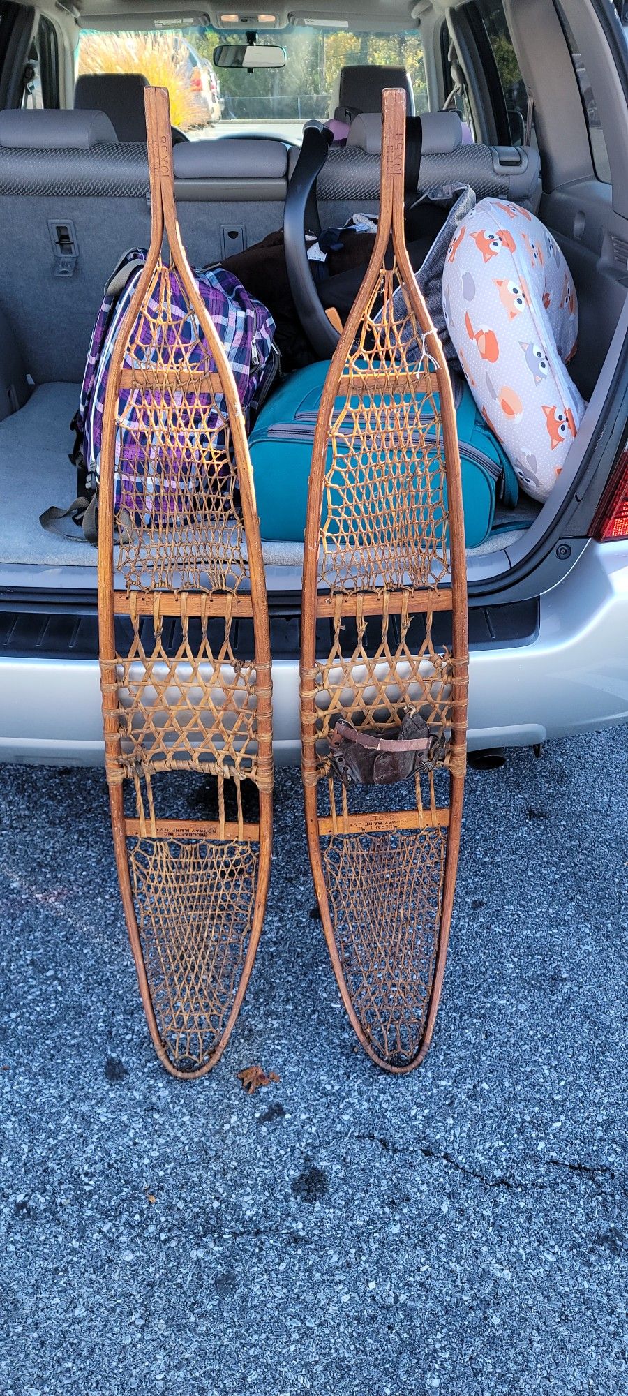 Old Snow Shoes
