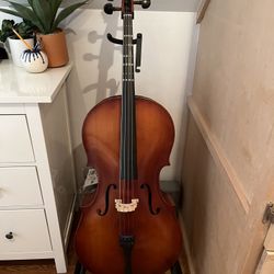Strobe Cello for Sale