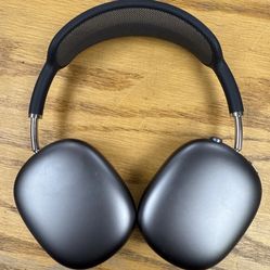 Apple AirPod Pro Max W/ Case