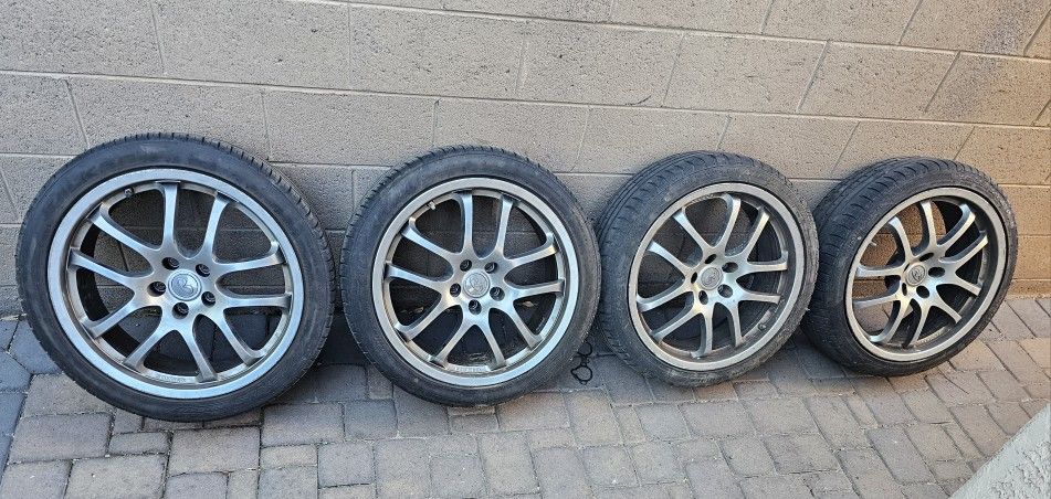 19" Ray's