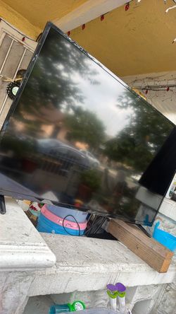Insignia Flat Screen TV