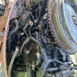 Mid 80s 35hp Evenrude 