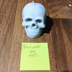 Rainwater And Moss Skull Candle 