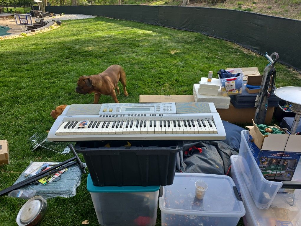 Casio WK-210 w/ Stand & Bench
