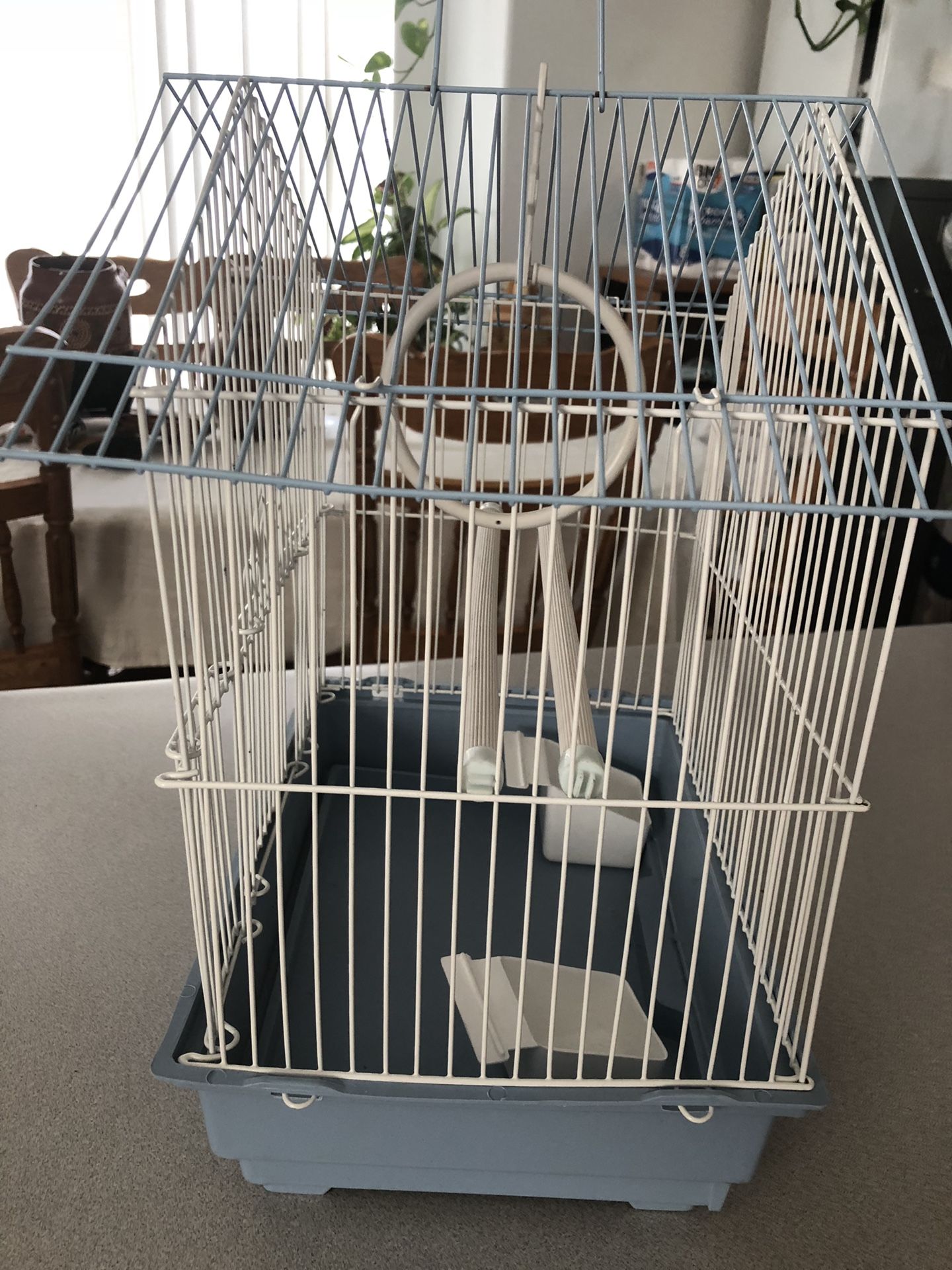 Birds