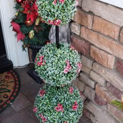 TOPIARY  TREE 