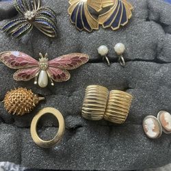 Ladies Broaches And Earrings