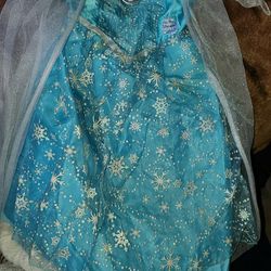 Elsa Princess Dress