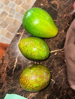 Aguacate