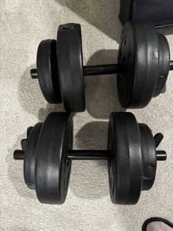 2 dumbbells 20 Pounds Each