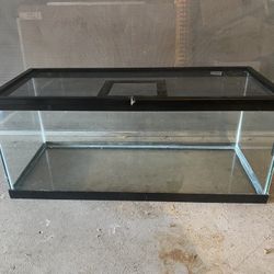 Reptile Cage 