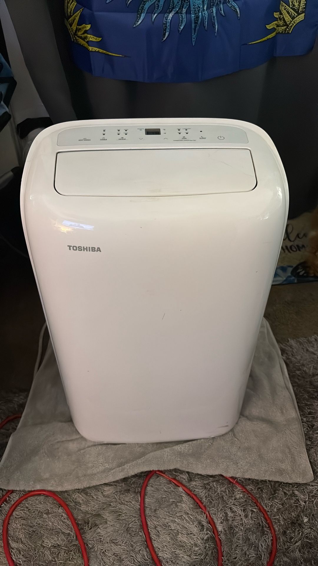 Toshiba Portable AC Unit