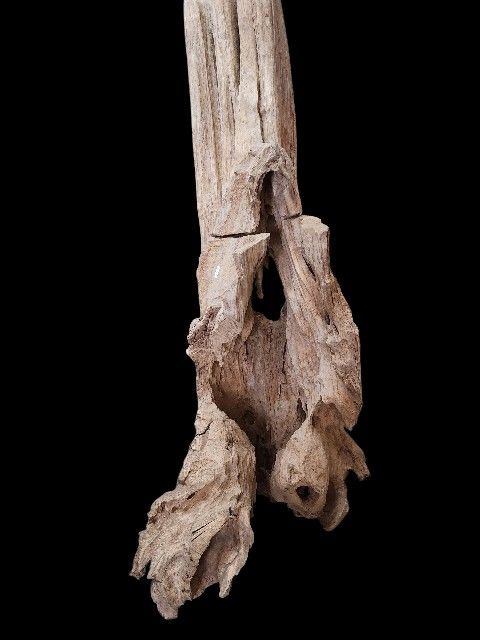 80" Height Orchid Planter Indoor décor, plant stand, sculpture display, or entryway accent