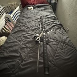 Fishing Pole And Reel Set