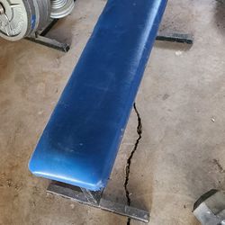 Gym Bench & Rack Squat Stand