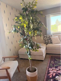 Decor tree