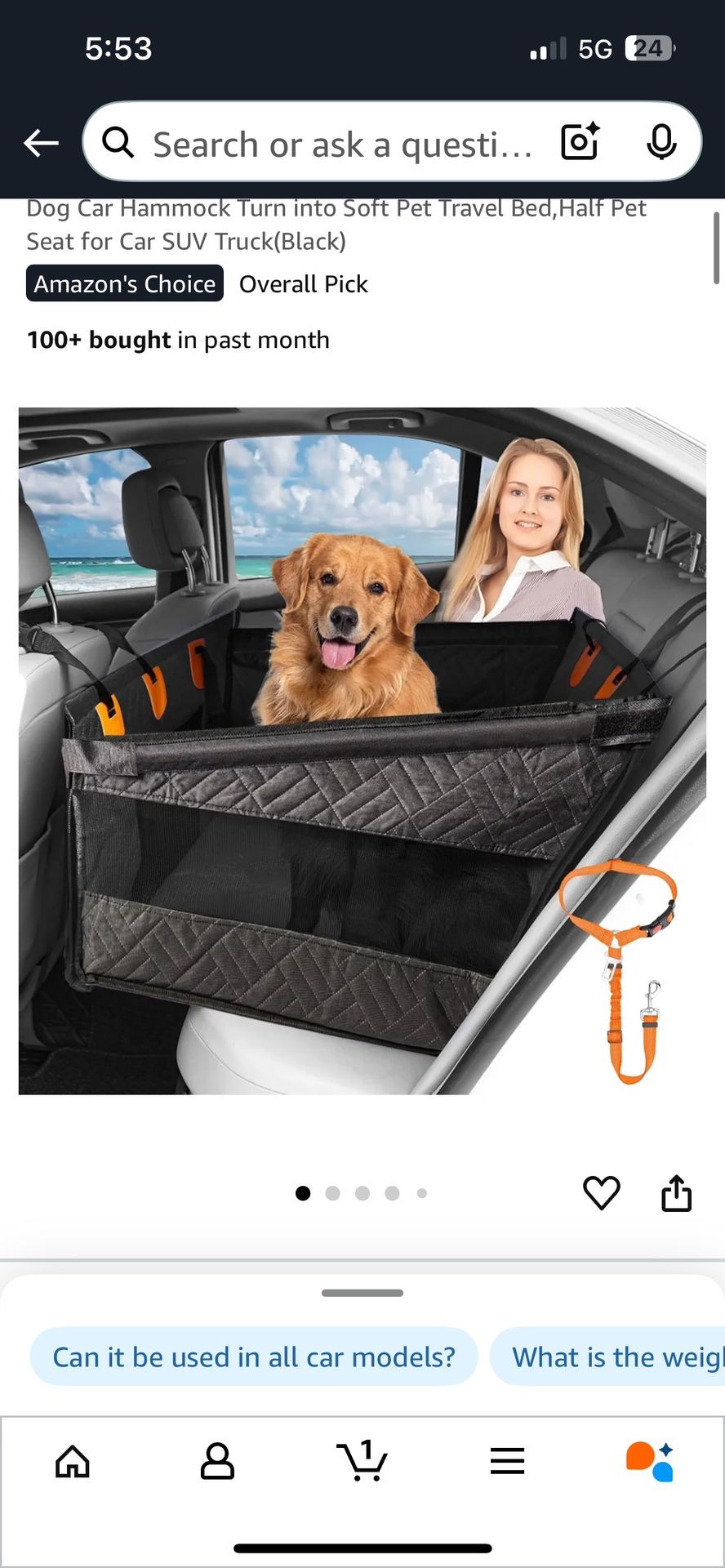 Back Seat Cover And Extended Leash