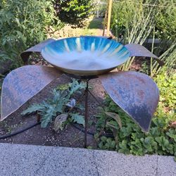 Bird Bath