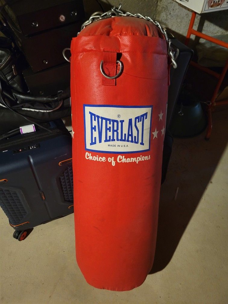 Everlast Heavy Bag