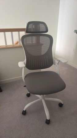 Ergonomic Office Chair