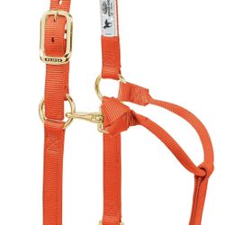 Weaver leather 3/4 inch waning/pony horse 20 300 pound halter orange