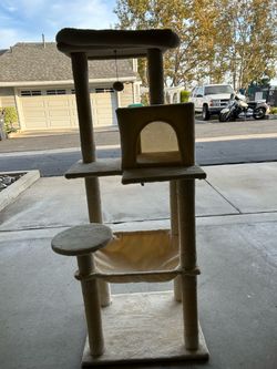 Cat Playground