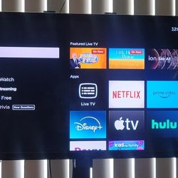 32in Insignia TV