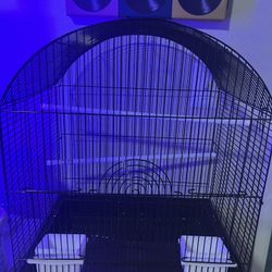 Bird Cage 