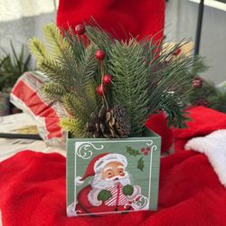 Christmas Plant Decor 