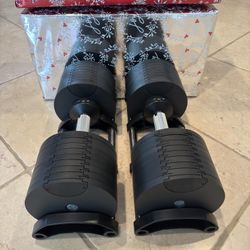 Adjustable Dumbbells 80Ibs