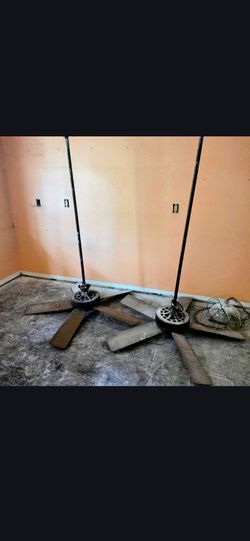 Ceiling fans