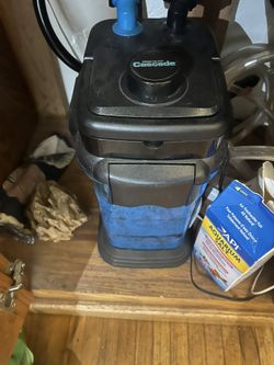 75 Gallon Fish Tank Complete With Canister Filter And Many Extras