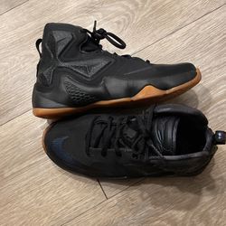 Lebron black lion hot sale shoes