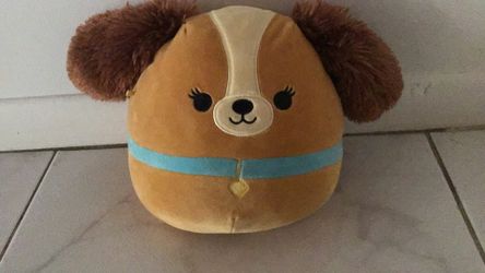 Squishmallow Plushy(Lady)