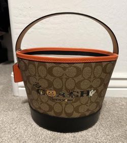 Coach bucket bag