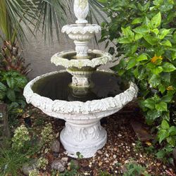 Bird Bath