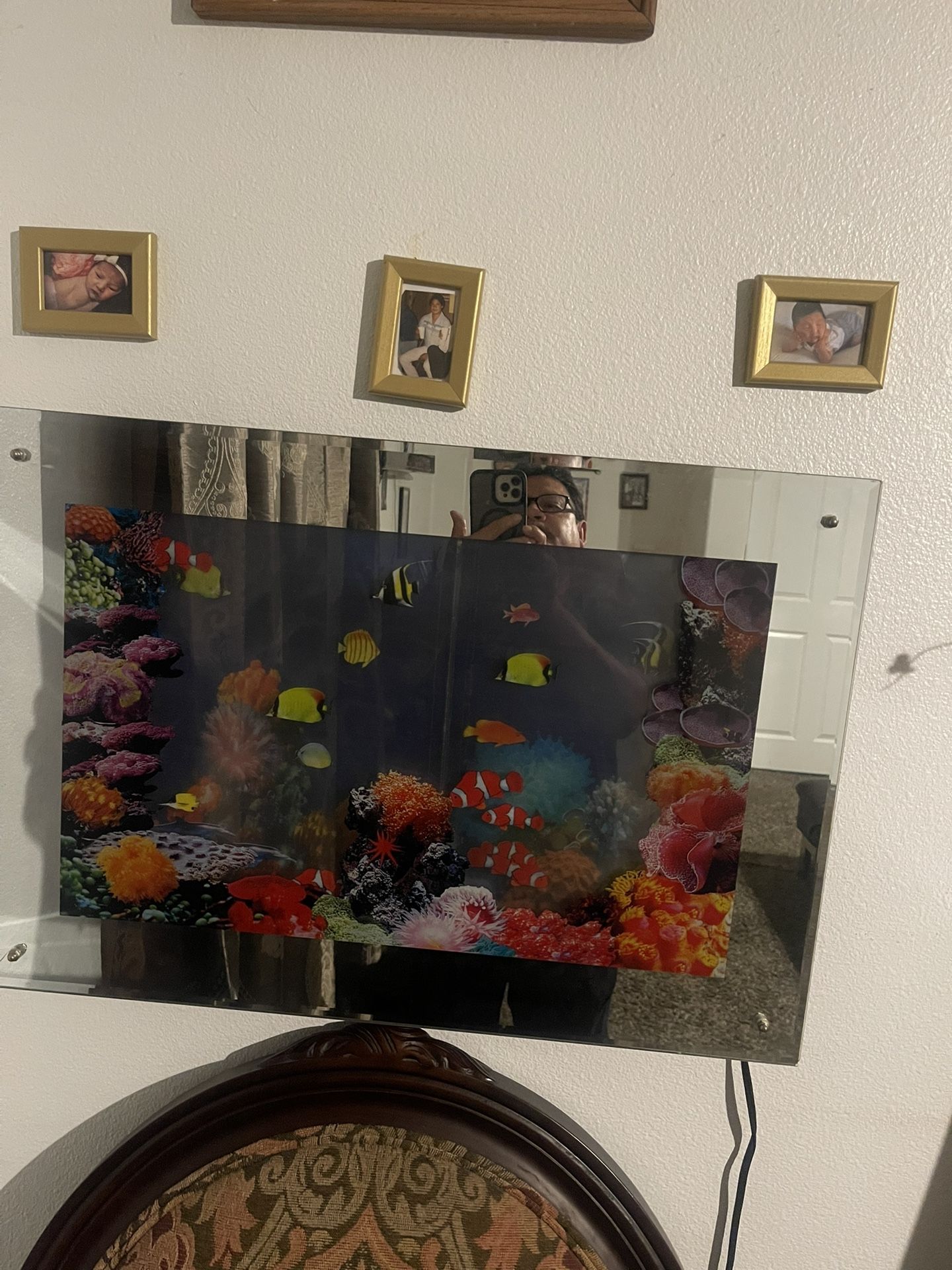 Cuadro Que Se Mueven Los Pescaditos Se Coleta En La Electricidad