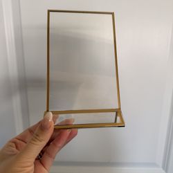 Gold Plastic frames