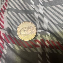 James Garfield 1 Dollar Coin
