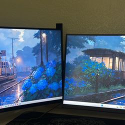 AOC and KOORUI monitors