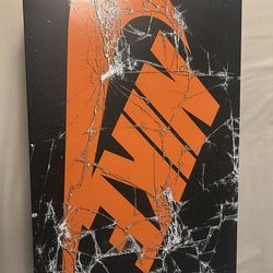 Nike “Shattered Backboard “ (2025) Size 10