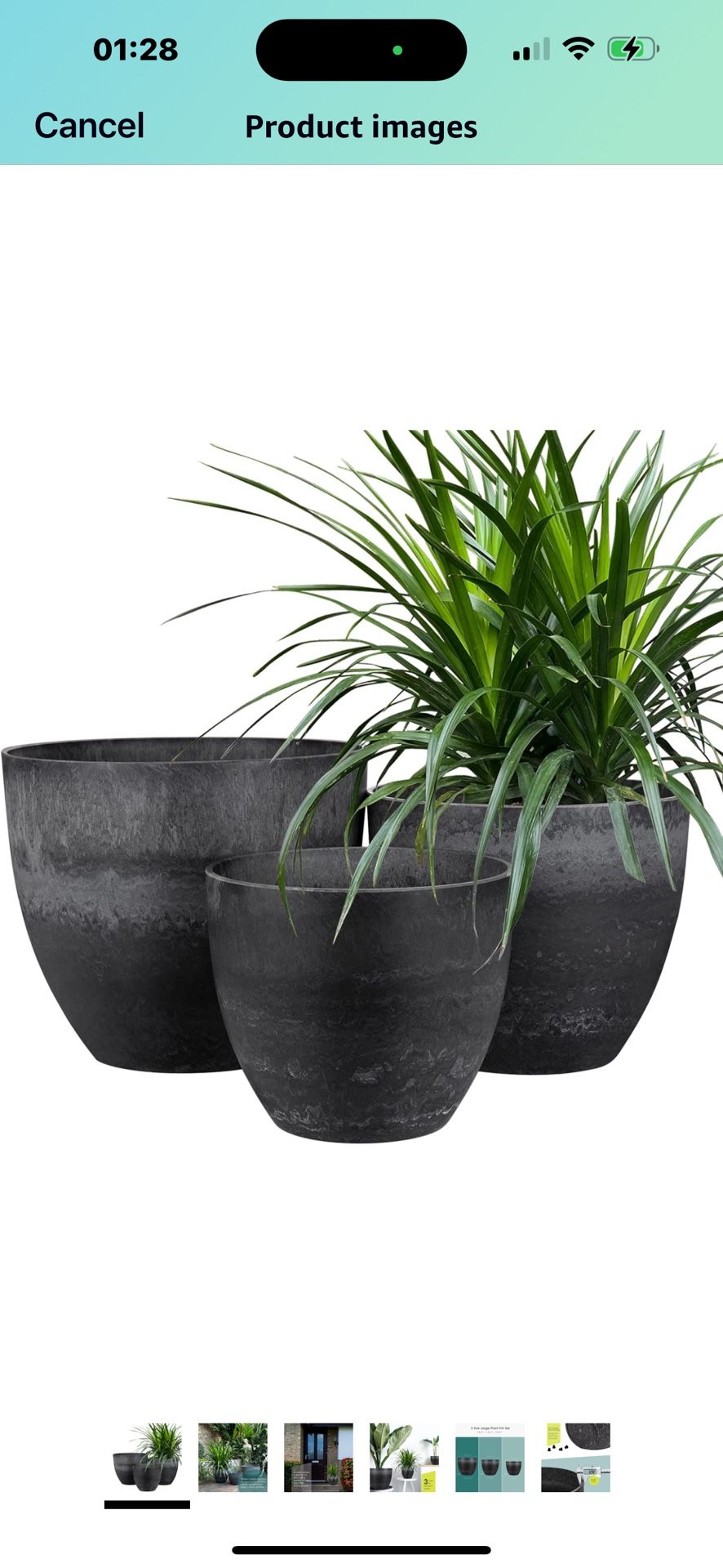 Pots Plant