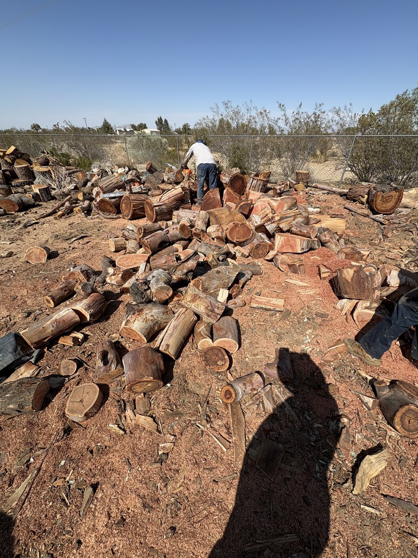 Firewood